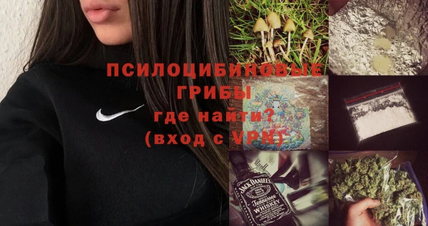 СК Вязьма