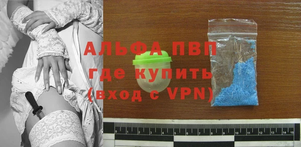 СК Вязьма