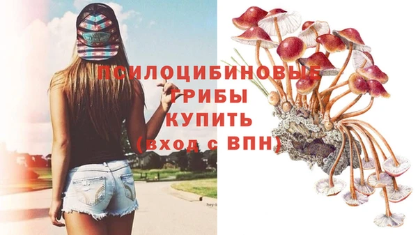 кокаин премиум Вяземский