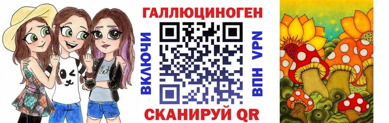 нарко площадка состав  Калининец  Псилоцибиновые грибы Psilocybine cubensis 